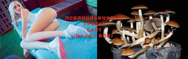 марки nbome Баксан